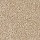 Horizon Carpet: Striking Option Caramel Ripple